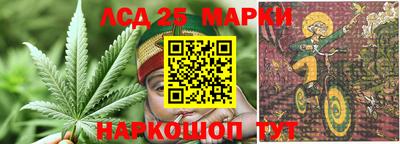 стаф Кулебаки