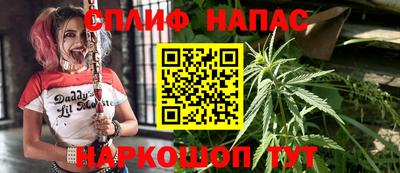 стаф Кулебаки