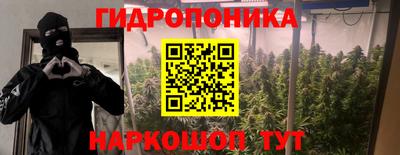 стаф Кулебаки