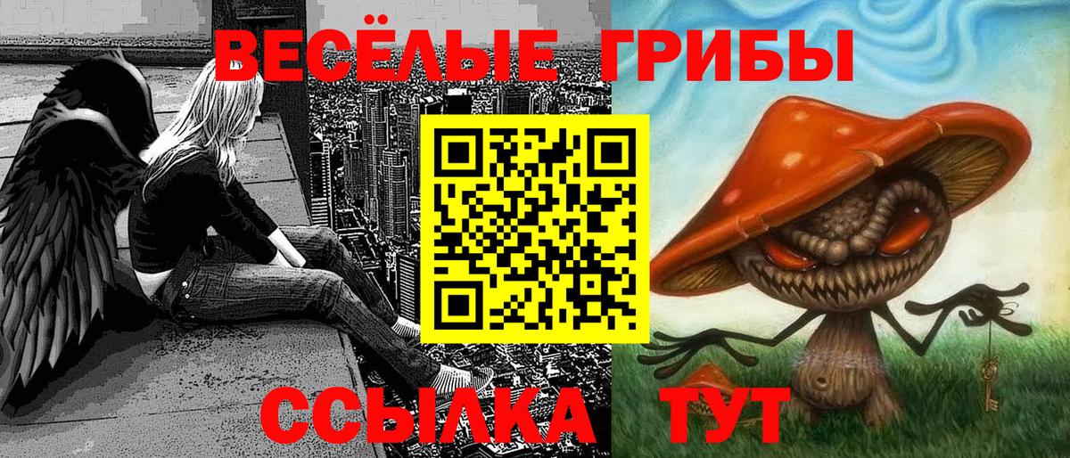Псилоцибиновые грибы мицелий  Галлюциногенные грибы прущие грибы  Вход с VPN  Лиски 